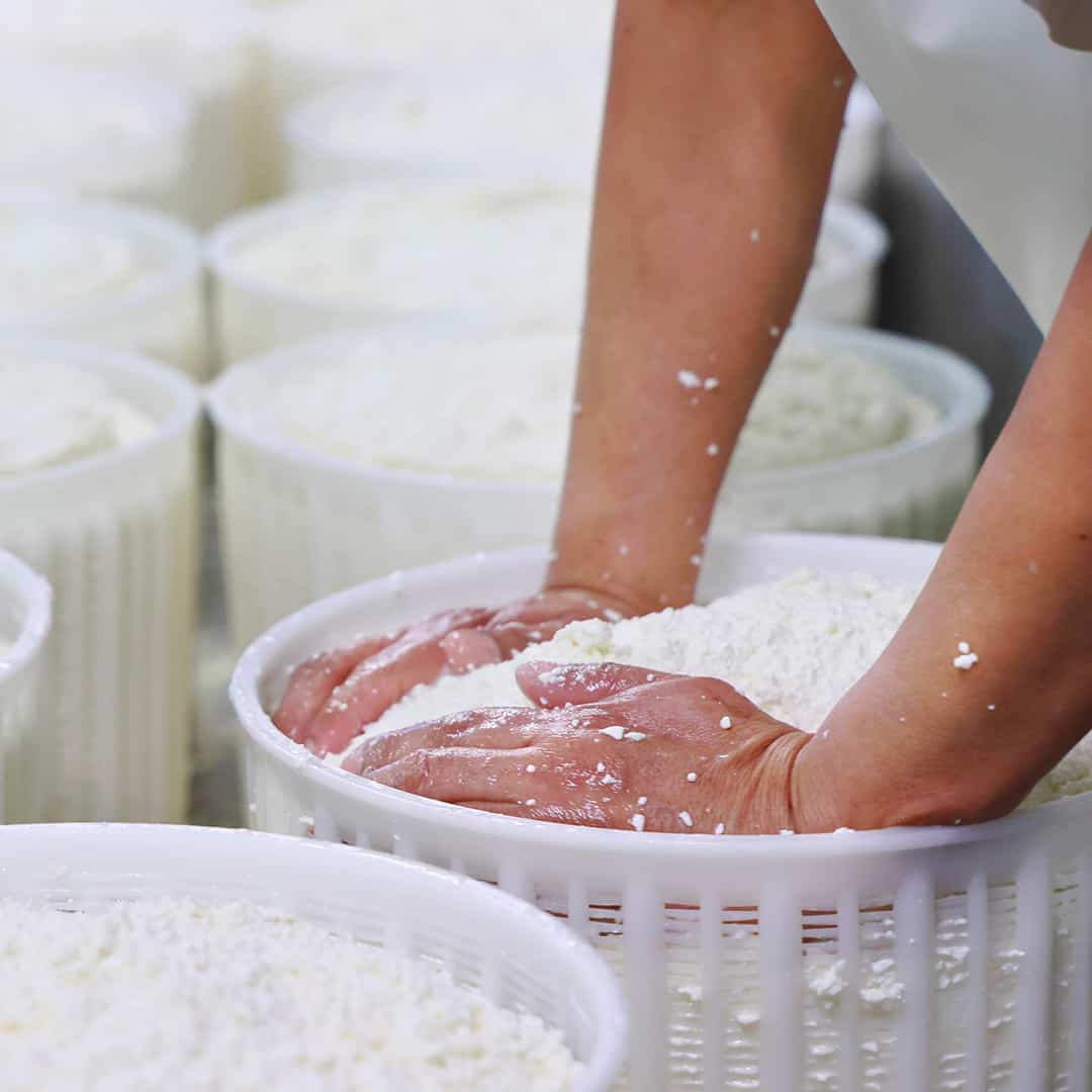 caseificio a Pienza lavorazione del pecorino